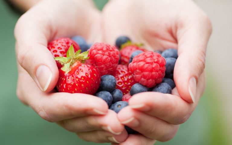 “Berry Rule” Toxicity Guideline | Modern Survival